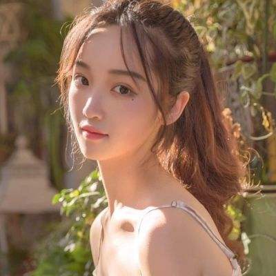 萌宠冒险记4399版下载